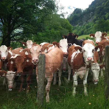 Schneeberghaus Bad Gastein